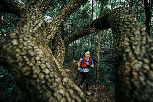 BIB: 
                            <button type="button" onclick="openModal(25394213)" class="btn btn-primary btn-sm float-right btn-popup" data-toggle="modal" data-target=".modal-high-quality">
                        <i class="fas fa-shopping-cart"></i> Add to Cart
                    </button>
                                            <button type="button" onclick="isThisMe(25394213, true)" class="btn btn-success btn-sm float-right btn-popup btn-isme hidden" data-toggle="tooltip" data-placement="bottom" title="นี่คือรูปของคุณใช่ไหม คลิกที่นี่เพื่อเอาเข้าอัลบั้ม">
                        <i class="fas fa-plus"></i> Add to album
                    </button>
                    <button type="button" onclick="isThisMe(25394213, false)" class="btn btn-warning btn-sm float-right btn-popup btn-isnotme hidden">
                        <i class="fas fa-ban"></i> Remove from album
                    </button>